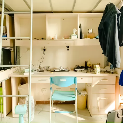 college organization ideas